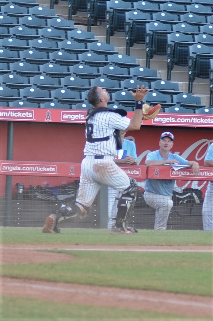 Seals_2019-10-06 (782).JPG - (c)2010 DeVetter